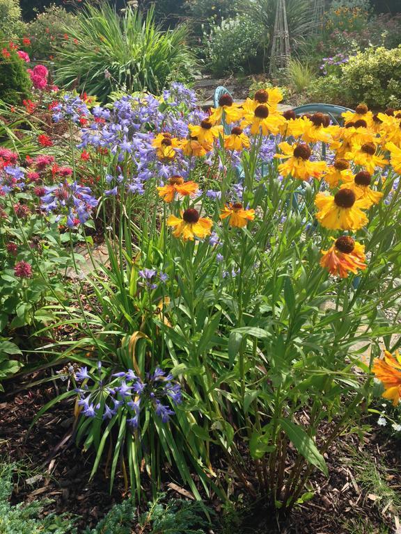 Ballinsheen House&Gardens Lisdoonvarna Buitenkant foto