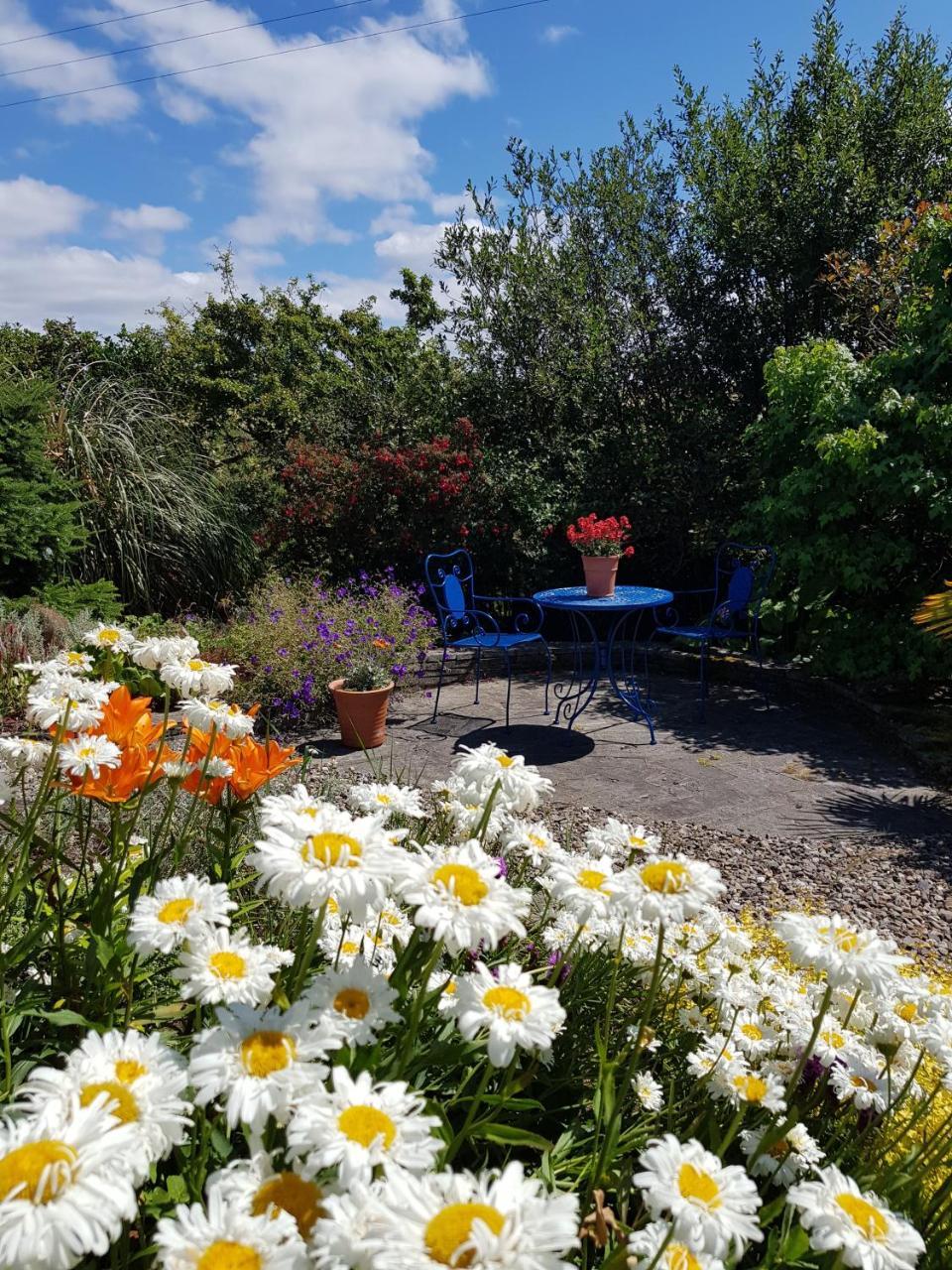 Ballinsheen House&Gardens Lisdoonvarna Buitenkant foto